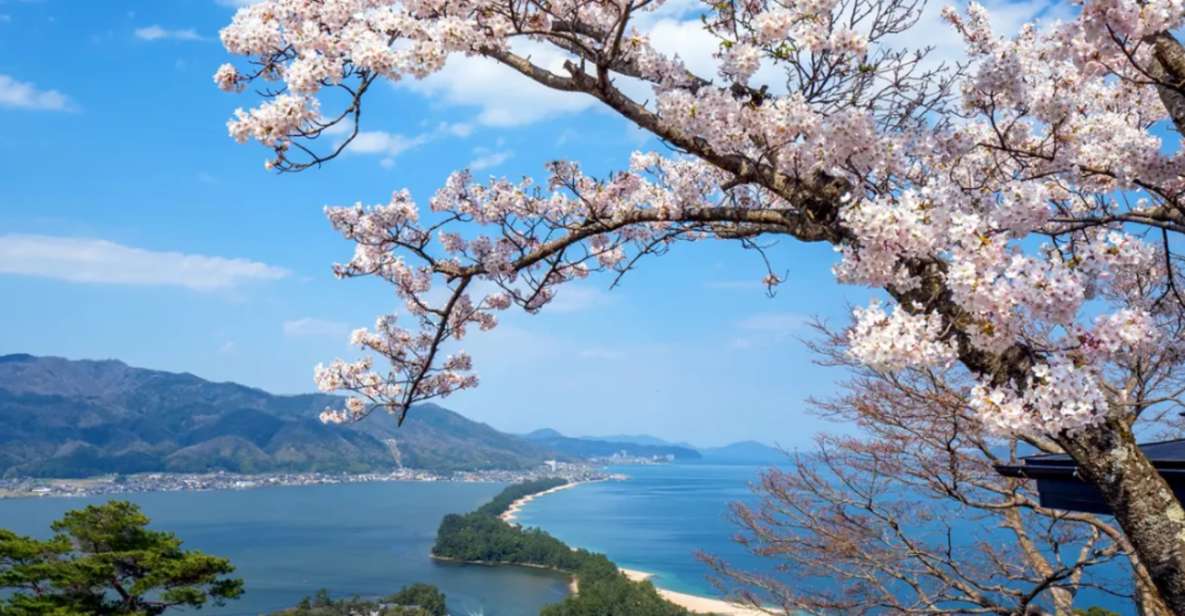 From Osaka: Miyama Village, Ine Bay & Amanohashidate Tour - Key Points