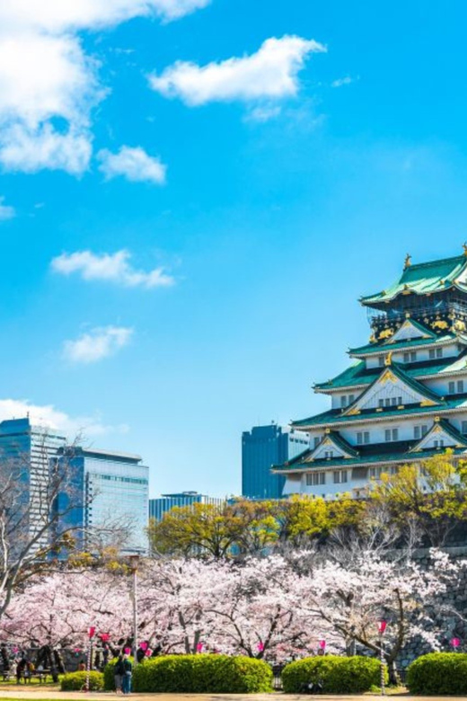 From Osaka: Private Customisable Osaka Full Day Tour By Car - Itinerary and Highlights