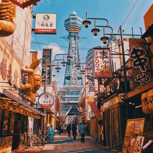 From Osaka: Private Customisable Osaka Full Day Tour By Car - Key Points