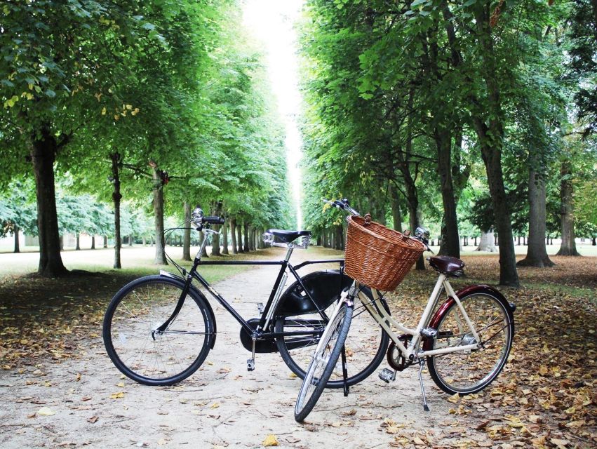 From Paris: Skip-the-Line Palace of Versailles Bike Tour - Key Points