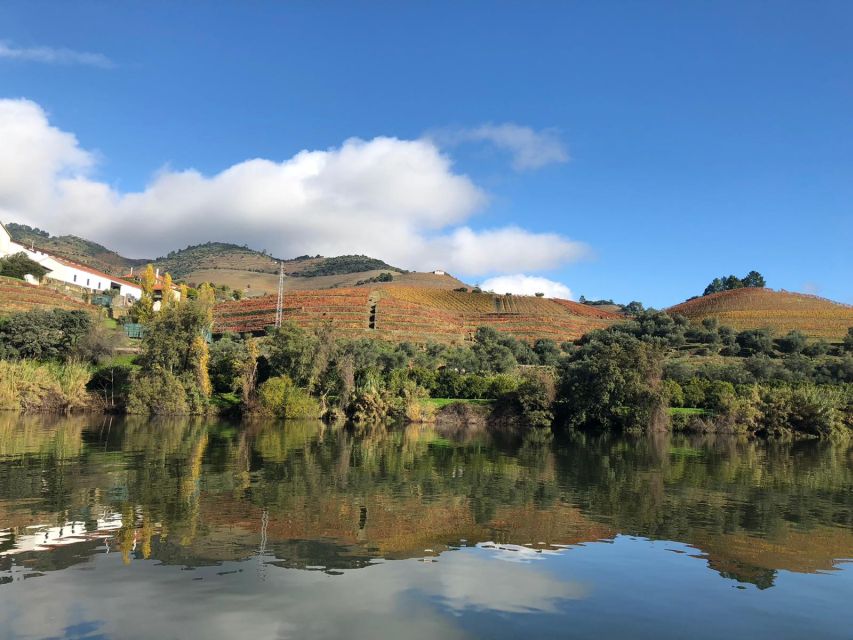 From Porto: Private Douro Valley Tour and Boat Cruise - Key Points