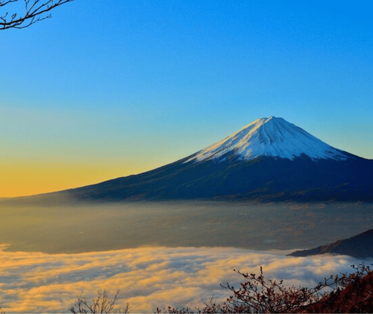 From Tokyo: Mount Fuji Day Trip By English Speaking Driver - Key Points