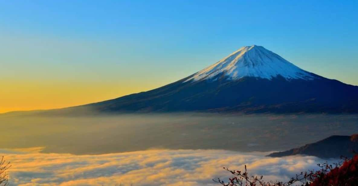 From Tokyo: Mount Fuji Full-Day Private Customized Tour - Customer Experience