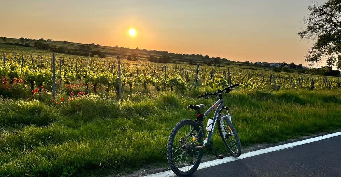 From Vienna: Burgenland Bike and Wine Tasting Tour - Key Points