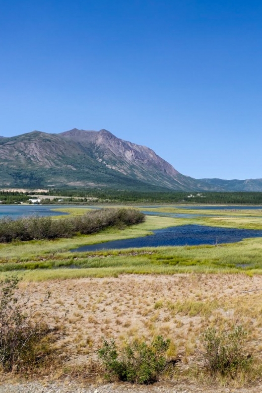 From Whitehorse: Skagway Day-Trip - Key Points