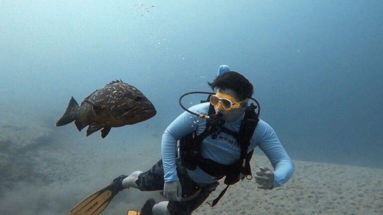 Fuerteventura : Discover Scuba Diving How To Book Your Dive