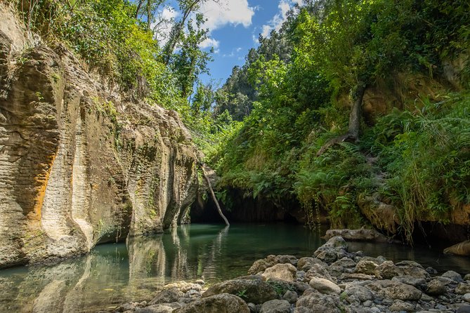 Full-Day Tour: Arenales Caves, Waterfall, River & Hidden Spring - Key Points