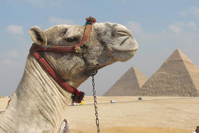 Full-Day Tour to Ancient Egypt - Key Points