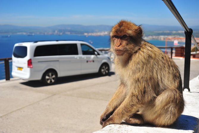 Gibraltar Inside Out Standard Tour 1.45hrs - Key Points