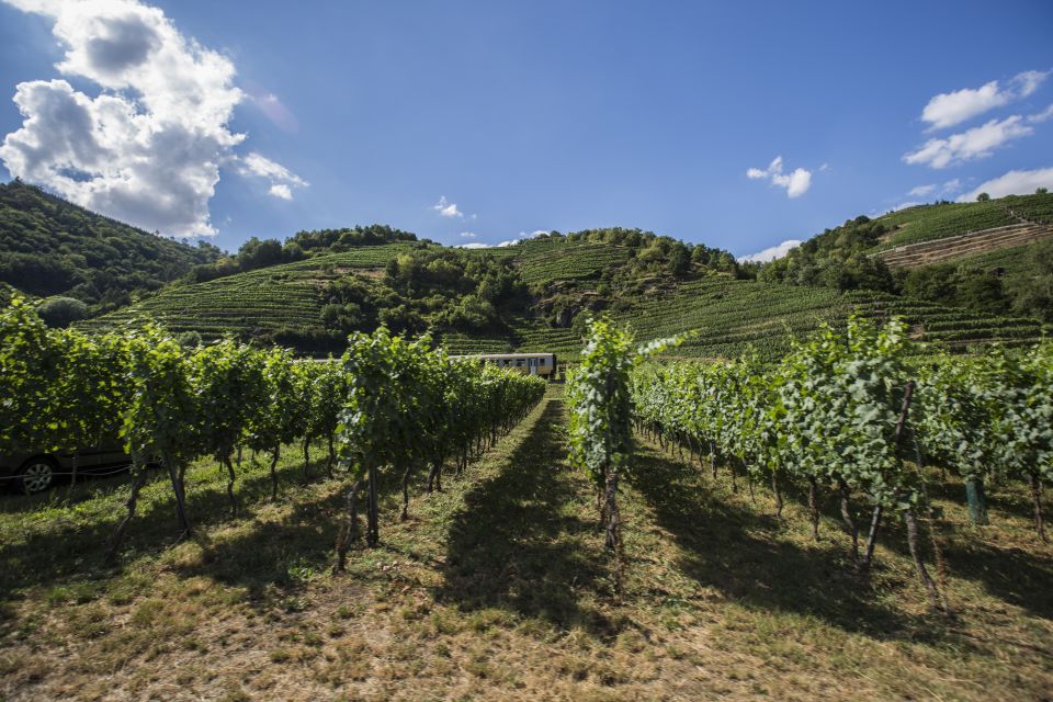 Grape Grazing: Wachau Valley Winery Biking Tour - Key Points