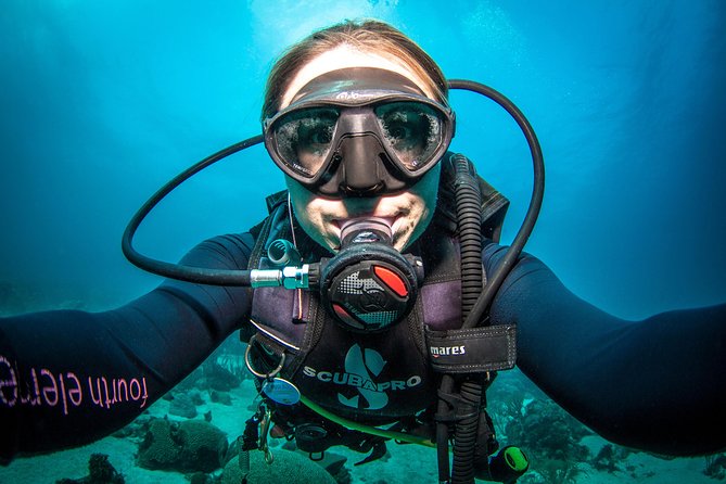 Guided Shore Dive for Certified Divers With Scuba Diving (2 Tank) - Key Points