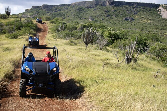 Half Day Taste Of Curacao Buggy Tour Key Points