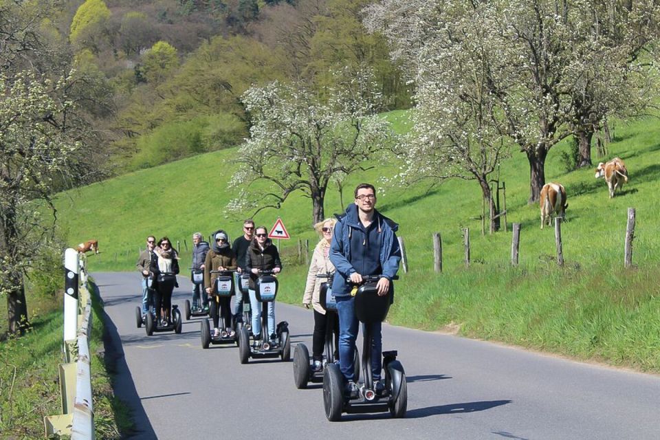 Heidelberg Highlights Segway Tour With Castle - Overview of the Tour