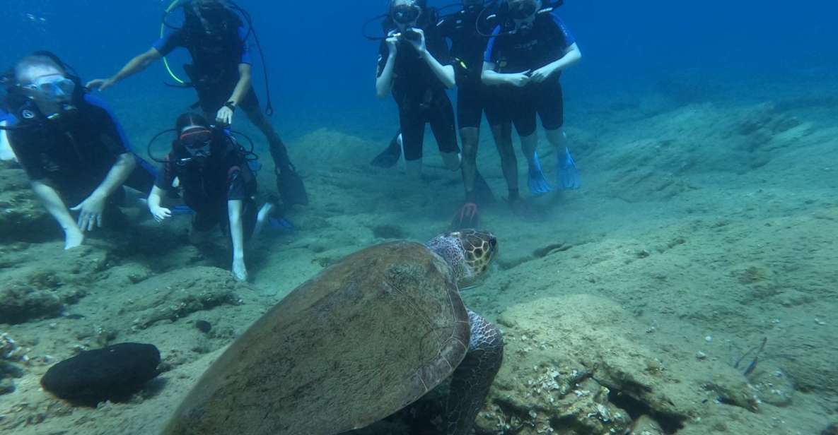 Heraklion: Beginners Intro Dive W/2 Dives With Transfer. - Key Points