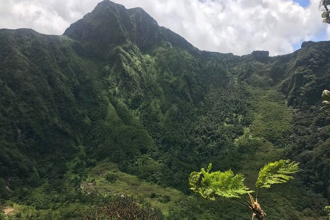 Hiking Mount Liamuiga Volcano in St Kitts - Volcano Hike Details