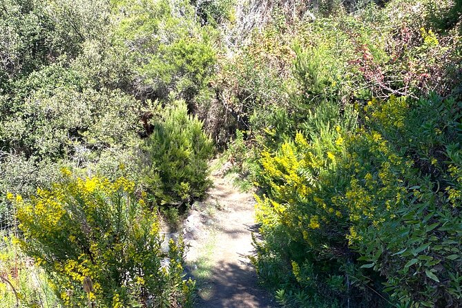 Horse Riding on the Coast of Monterosso Al Mare, Cinque Terre - Key Points