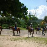 Horseback Riding And Swim From Montego Bay Key Points