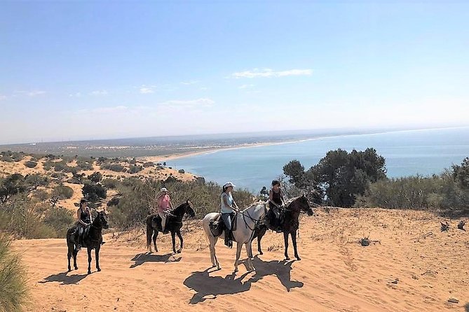 Horseback Riding Half Day With Picnic - Key Points