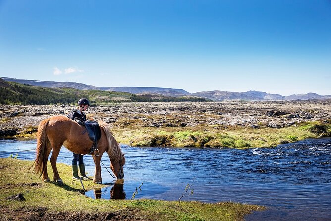 Horseback Riding Tour in Iceland - Key Points