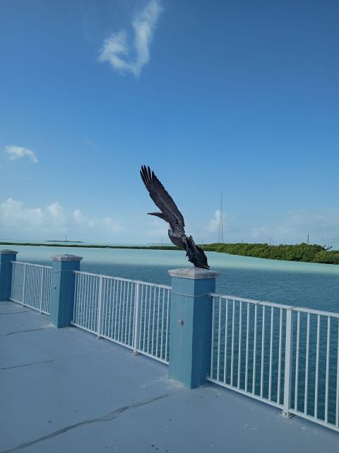 Islamorada: Guided Tour With Local Highlights - Key Points