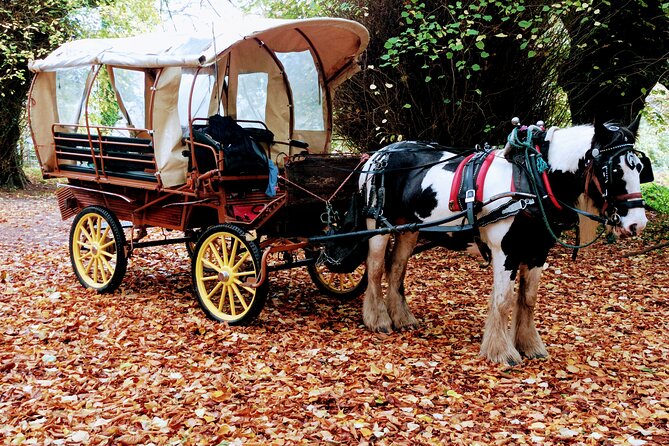 Jaunting Car Tour in Killarney National Park - Overview of Jaunting Car Tour