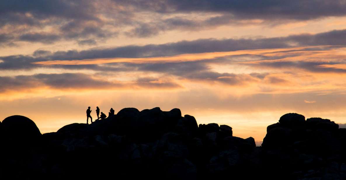 Joshua Tree NP: Sunrise or Sunset Tour - Key Points