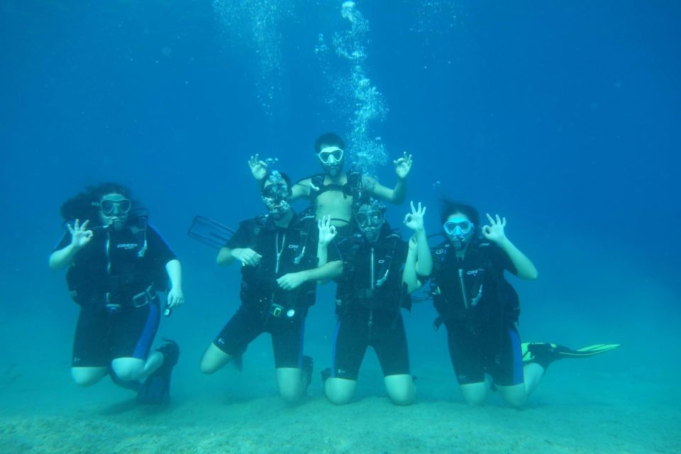 Kefalonia: Beginner Scuba Diving at Agia Efimia Village - Key Points