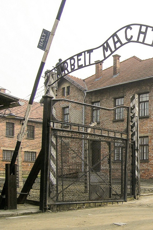 Krakow: Auschwitz-Birkenau Day Trip With Tour Leader - Key Points