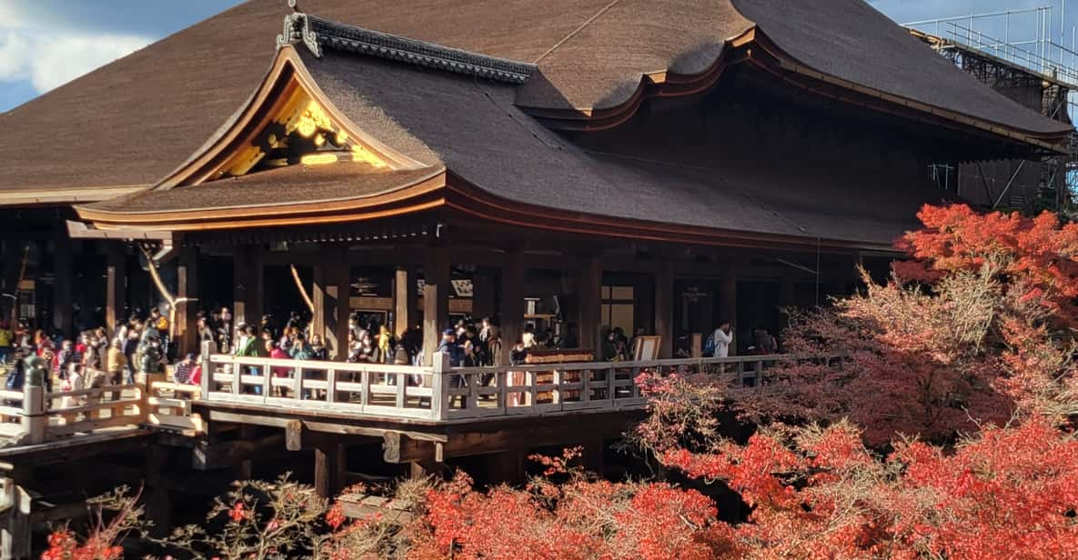 Kyoto Experience With a Local Certified Guide - Key Points