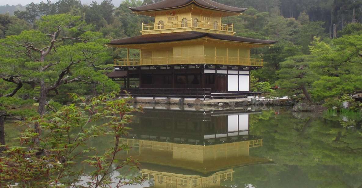 Kyoto: Pagoda Doro and Bamboo Forest (Italian Guide) - Key Points