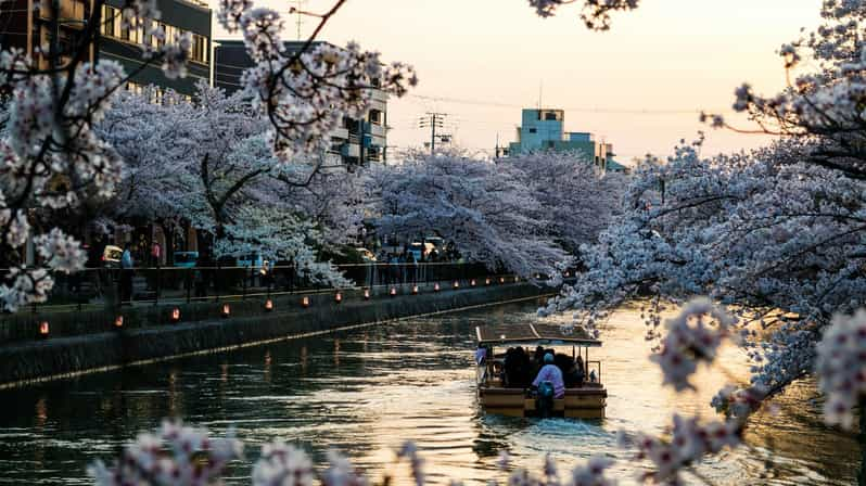 Kyoto: Private English Guided Customized Tour (Hotel Pickup) - Key Points