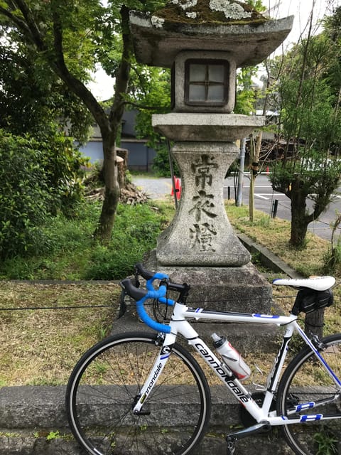 Kyoto: Rent a Road Bike in Kyoto and Return in Osaka! - Key Points