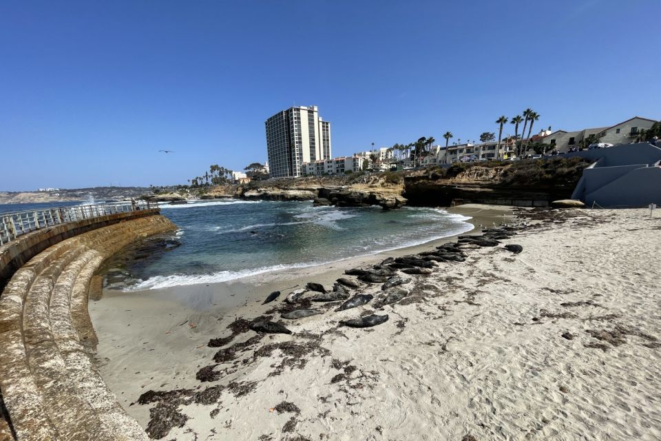 La Jolla: 2-Hour Guided Segway Tour - Key Points