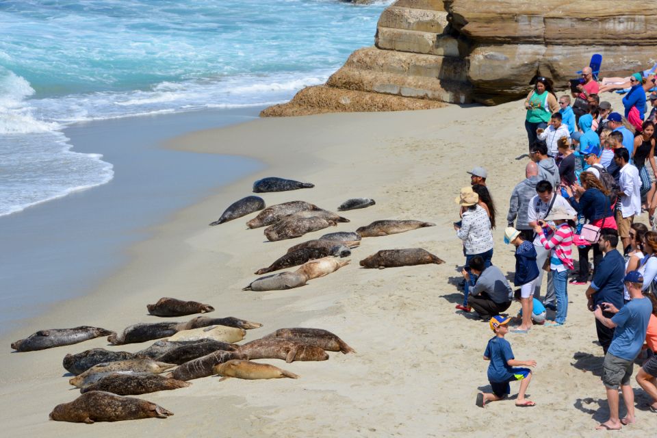 La Jolla: Self-Guided Walking Audio Tour - Key Points