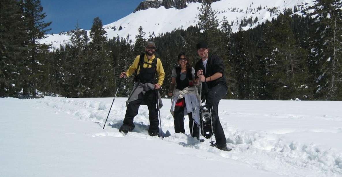 Lake Tahoe: Snowshoeing Guided Tour - Key Points