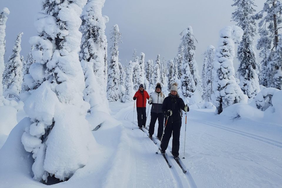 Lapland Levi: Cross-country Skiing for Beginners - Key Points