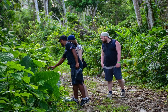 Lets Do Hiking in Punta Cana - Overview of the Hiking Tour