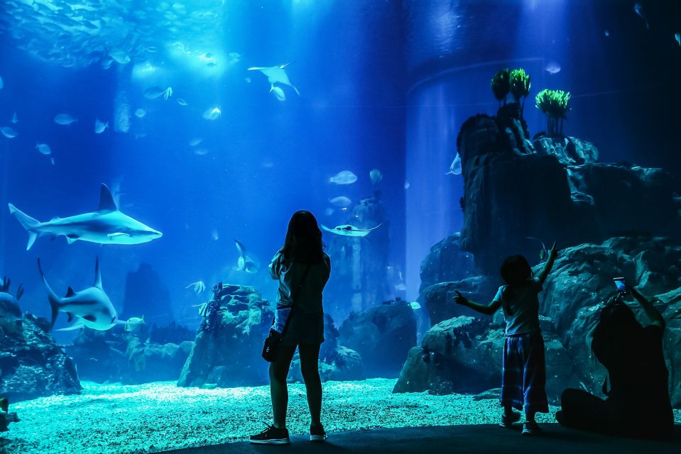 Lisbon: Oceanarium Of Lisbon Entrance Ticket - Key Points