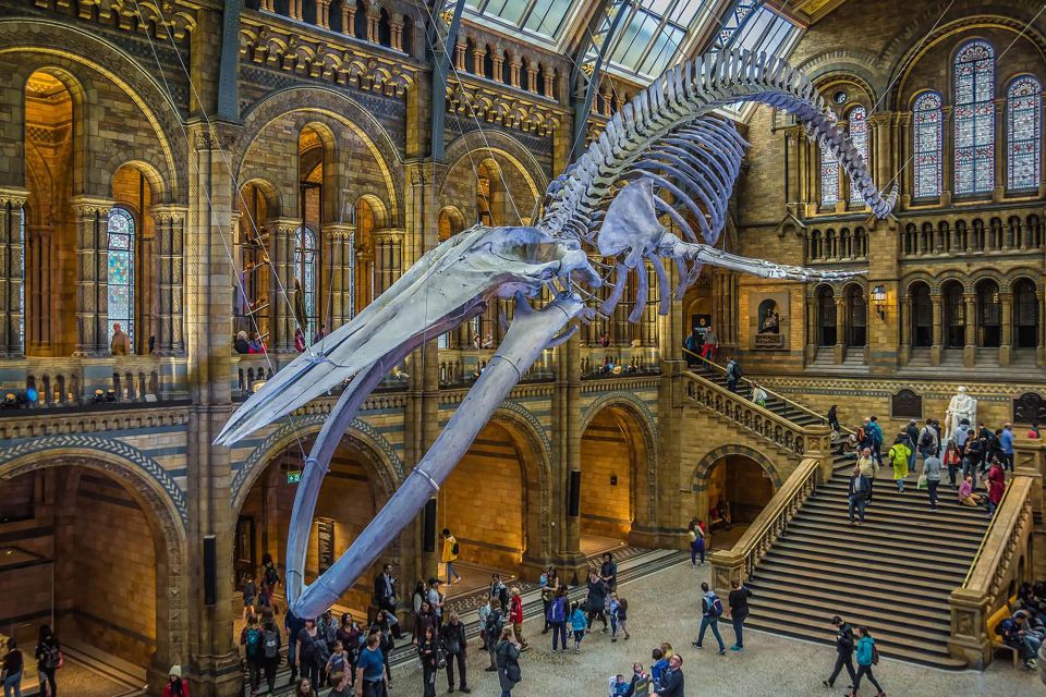 Londons Natural Marvels: Museum Expedition - Key Points