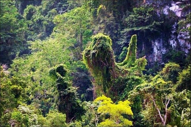 Los Haitises National Park Hiking + Kayaking (Private Excursion) - Meeting Point and Start Time