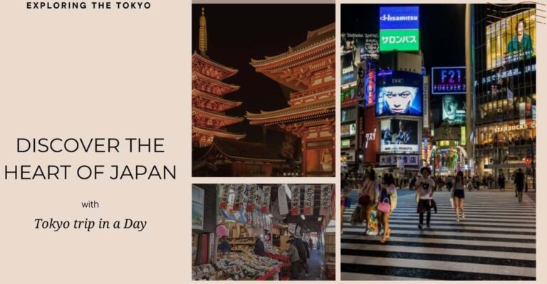 Luxe Travels: Private Tokyo Day Trip Itinerary Tour Overview And Pricing