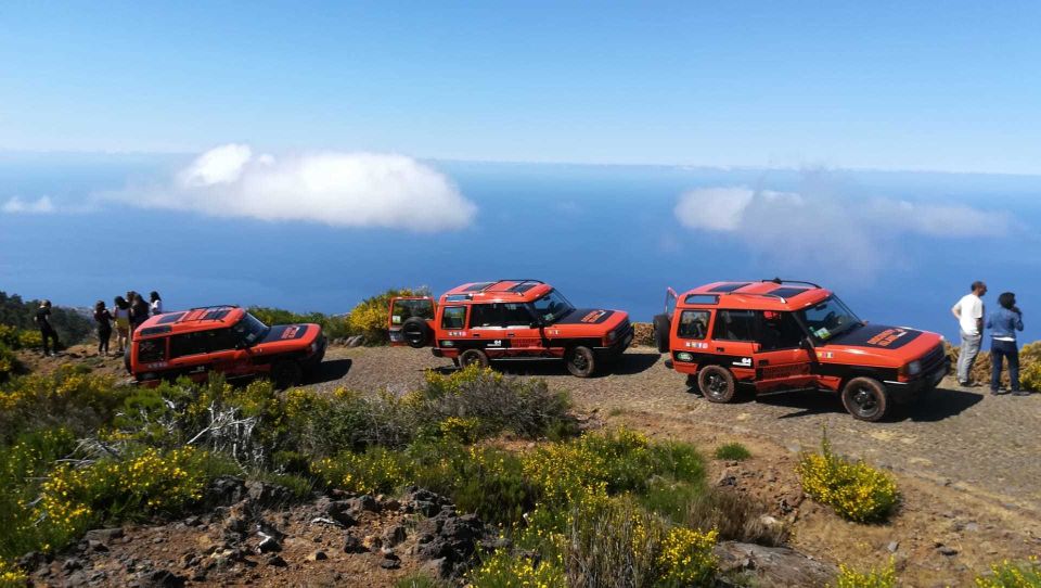 Madeira: Full-Day Porto Moniz Jeep Tour - Key Points