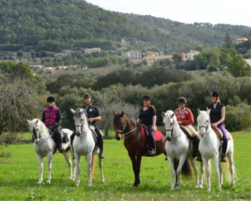 Mallorca: Guided Horseriding Tour of Randa Valley - Key Points