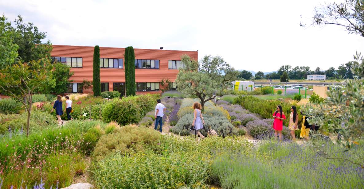 Manosque: L'occitane En Provence Guided Factory Tour - Key Points