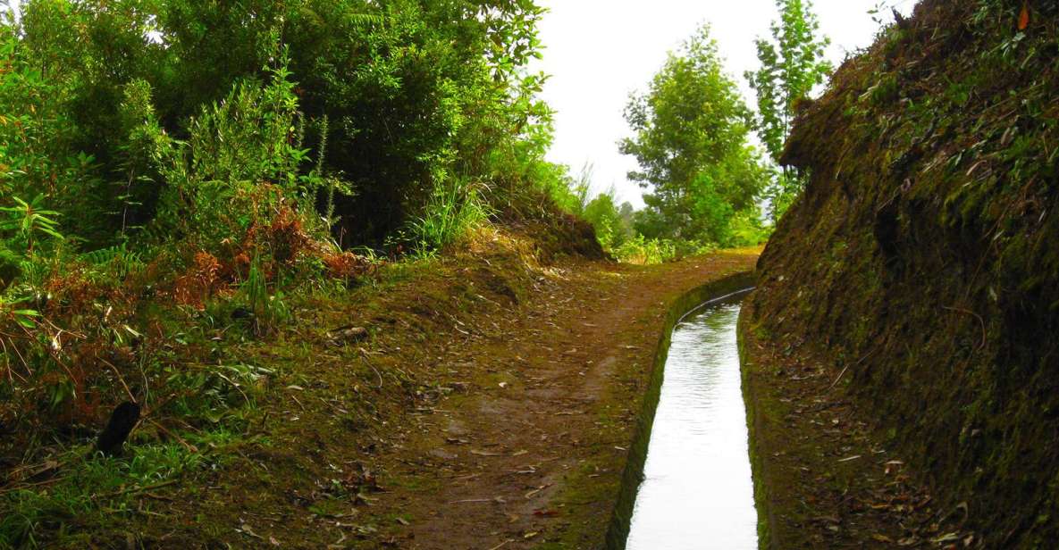 Marocós / Mimosa Valley - Levada Walk - Key Points