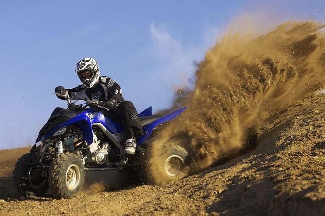 Marrakech Palm Oasis and Desert Quad Bike Adventure - Itinerary and Activities