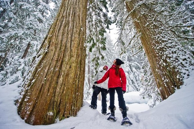 Medicine Trail Snowshoe Tour - Key Points