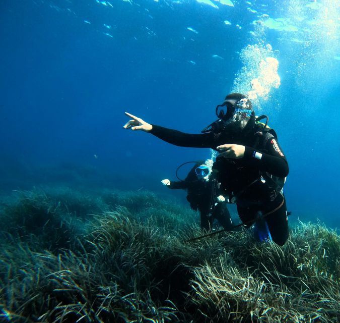 Menorca: Try Scuba Diving in Calan Bosch - Key Points