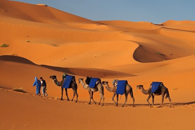 MERZOUGA DESERT TREK - 3 DAYS From Marrakech - Inclusions