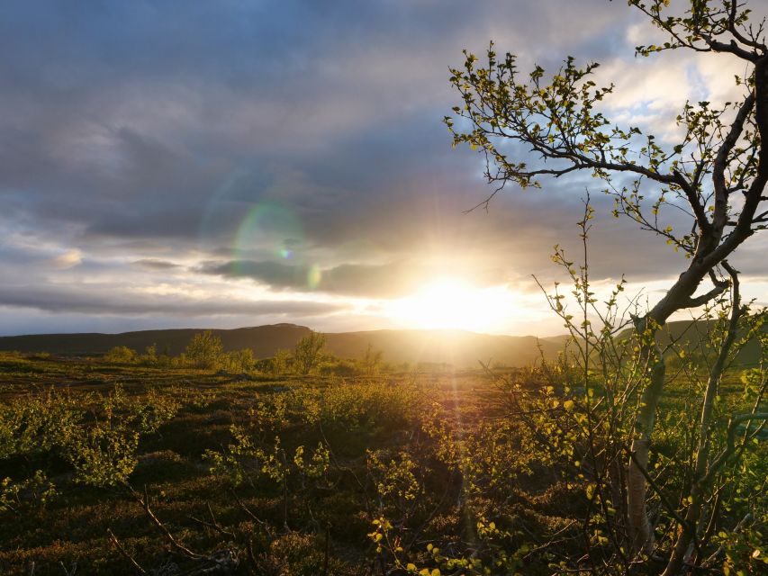 Midnight Sun Hike to the Shores of Lake Inari - Key Points